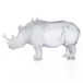 White Rhinoceros by Jean-François Leroy (Special Order)