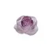 Rose Passion Pink Flower (Special Order)