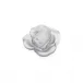Rose Passion White Flower (Special Order)