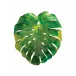 Monstera - Emilio Robba Large Green Wall Lamp CE