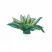 Jardin De Cactus Emilio Robba Green Agave Centrepiece (Special Order)