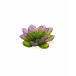 Jardin de Lotus Green Pink Decorative Flower
