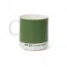 David Mellor BS221 Brillant Green Mug
