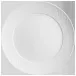 Waves Relief No 41 Dinner Plate