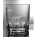 Safari Leopard Clear Double Old Fashioned