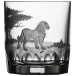 Safari Lion Clear Double Old Fashioned