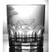Safari Tiger Clear Double Old Fashioned