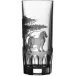 Safari Lion Clear Highball Tumbler