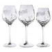 Papillon Clear Red Wine Glass