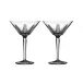Captiva Martini Glass Boxed Set
