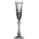 Venice Clear Champagne Flute