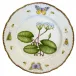 Waterlily Salad Plate With Border