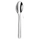 Alkaline Stainless Serving Spoon