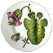Rhapsody Of Colors Pink Flower Bread And Butter Plate