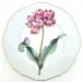 Botanical Treasures 1 Dinnerware