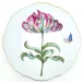 Botanical Treasures 3 Dinnerware
