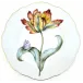 Botanical Treasures 5 Dinnerware