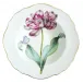 Botanical Treasures Rimmed Soup Bowl 9.2" D
