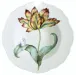 Botanical Treasures Rimmed Soup Bowl 9.2" D