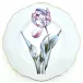Botanical Treasures Salad Plate 8" D