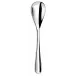 Eole Stainless Steel Serving Spoon