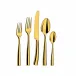 Silhouette Gold PVD 5Pc Place Setting