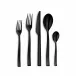 Side Black PVD 5 Pc Place Setting