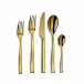 Side Gold PVD 5 Pc Place Setting