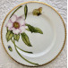 Peony Pink Salad Plate