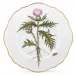 Anna's Garden Salad Plate