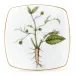 Anna's Garden Bread & Butter Plate