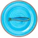 Aimone Turquoise Melamine Dinnerware