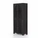 Tilda Cabinet Black Wash Mango