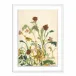 Meadow Rue 2 by Shaina Page White 2.5 Maple 30" x 40" White Maple Framed Metal