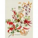 Piments Doux Epices Kitchen Towel 20"x28", 50% Cotton 50% Linen