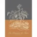 Pommes De Terre Ocre Kitchen Towel 22"x31"