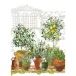 Jardin Provencal Olive Kitchen Towel 20"x28"