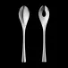 Cobra Salad Serving Set