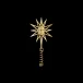 2025 Lyra Top Star Small
