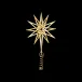 2025 Lyra Top Star Medium