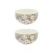 Millefleurs Set Of 2 Cocktail Bowls 3 3/4" Dia-1 15/16 H-5 1/3 Oz