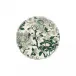 Pivoines Vert Dessert Plate 9 1/8" Dia