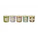 Profumi Luchino/Tutti Frutti Set Of 5 Scented Mini Candles Gr 70 Oz. 2.5 Each