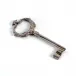 Double Dolphin Key Nickel