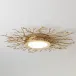 Twig Ceiling Fixture Brass