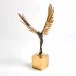 Avian Man