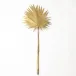 Brass Palm Leaf Large