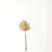 Brass Palm Leaf Small