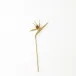 Brass Bird of Paradise Small