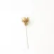 Brass Lotus Flower Small